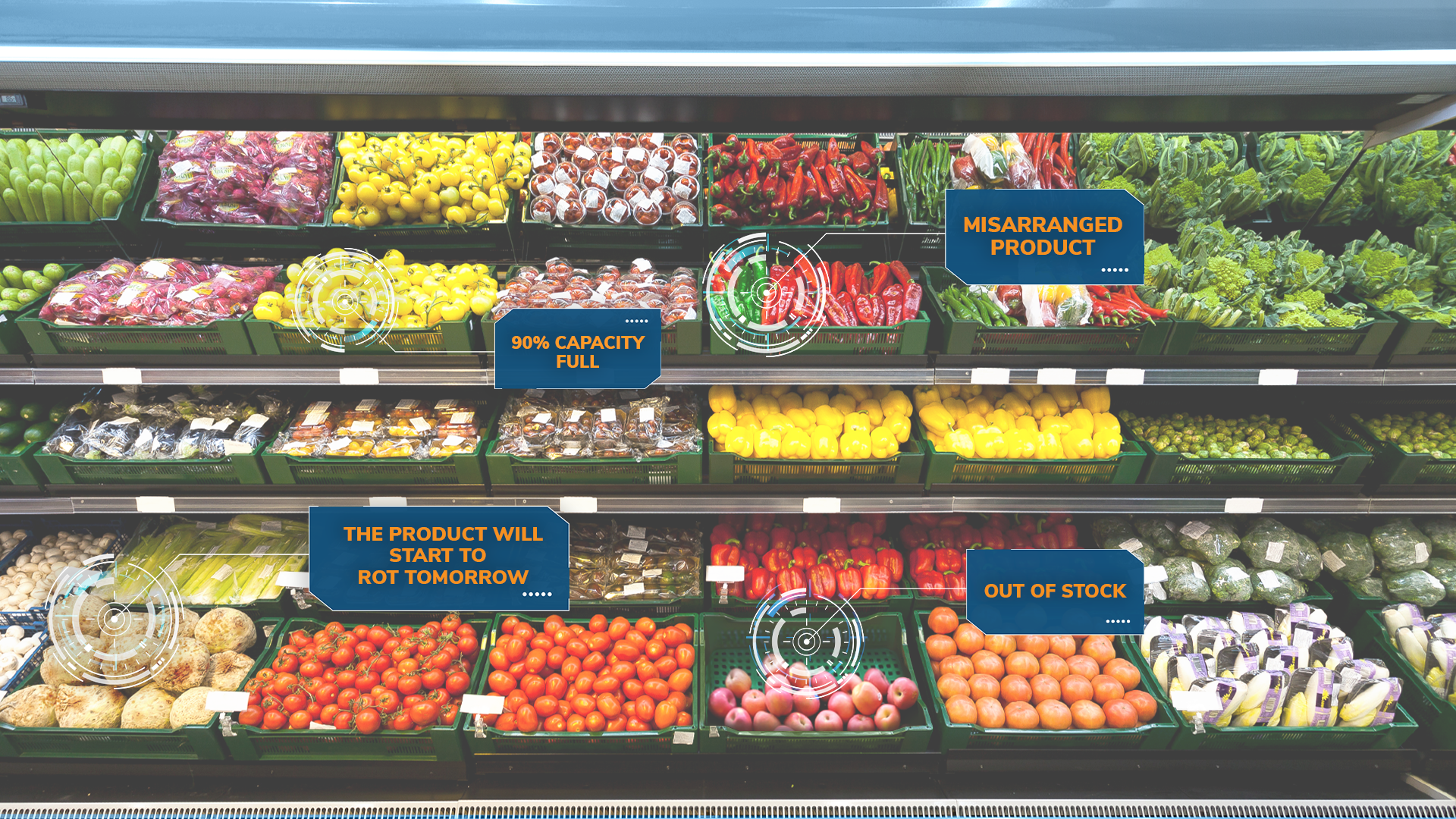 Fruits and Vegetables on shelf